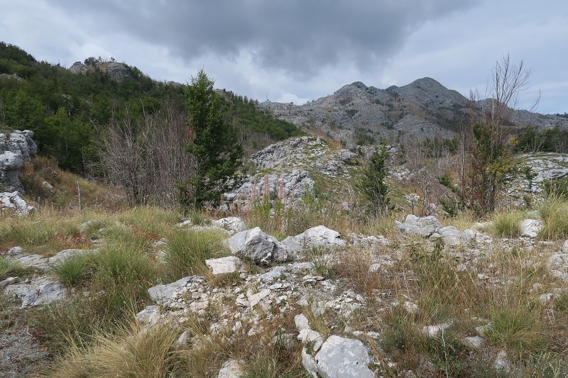 Monte Negro &nbsp; 9. z��� 2021 13:10:19 &nbsp; &nbsp; C210909_131018_412 